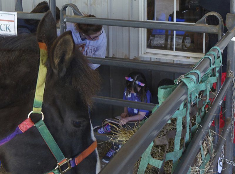 Read to a horse? Of course, of course